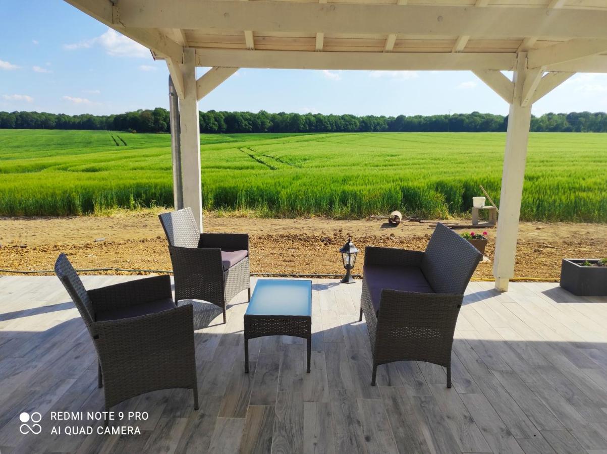 Chambre D'Hotes Le Domaine Des Hirondelles Champcenest Εξωτερικό φωτογραφία